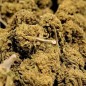 Cogollo de flor aromática HHC - Amnesia - (30 % HHC) Cogollo de flor aromática HHC - Amnesia - (30 % HHC)