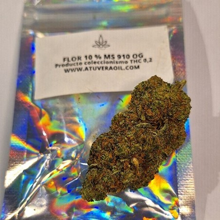 Cogollo de flor aromática THCP - MS 911 OG - (11,1% THCP)