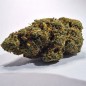 Cogollo de flor aromática THCP - MS 911 OG - (11,1% THCP) Cogollo de flor aromática THCP - MS 911 OG - (11,1% THCP)