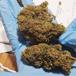 Cogollo de flor aromática 30% HHC - Muerte por Caramelo (30% HHC) [Mínimo 2 g.]