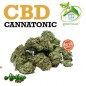 Cogollo de flor aromática - CBD Cannatonic [Mínimo 2 g.]