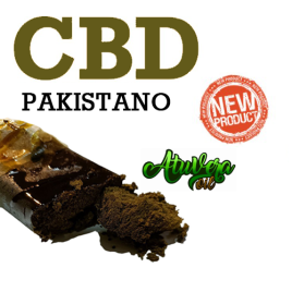 Resina CBD - Pakistano