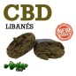 Resina CBD - Libanés Resina CBD - Libanés