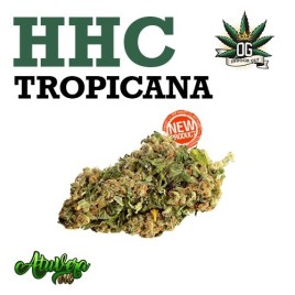 Cogollo de flor aromática HHC - Tropicana (20% HHC)