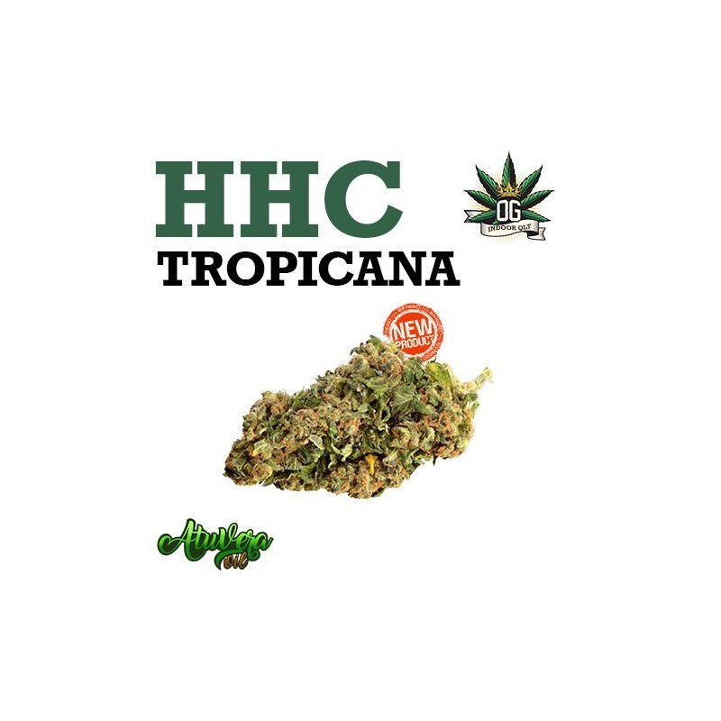 Cogollo de flor aromática HHC - Tropicana (30% HHC) Cogollo de flor aromática HHC - Tropicana (30% HHC)