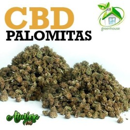 Pequeños Cogollos de flor aromática CBD - Palomitas (Green House)