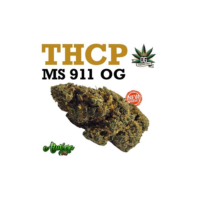 Cogollo de flor aromática THCP - MS 911 OG - (11,1% THCP) Cogollo de flor aromática THCP - MS 911 OG - (11,1% THCP)