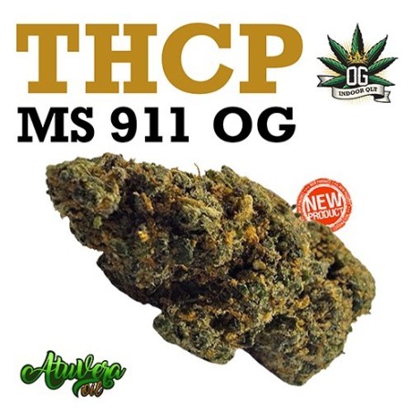 Cogollo de flor aromática THCP - MS 910 OG - (11,1% THCP) (Por mayor) [Envasados]