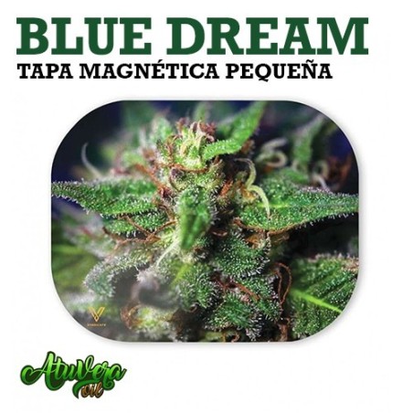 Tapa magnética para bandeja "Blue Dream" - (18cm x 14cm x 1mm)