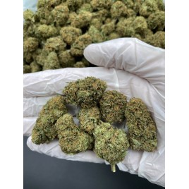 Cogollo de flor aromática - CBD Gorilla Glue - (Indoor) (24% CBD)