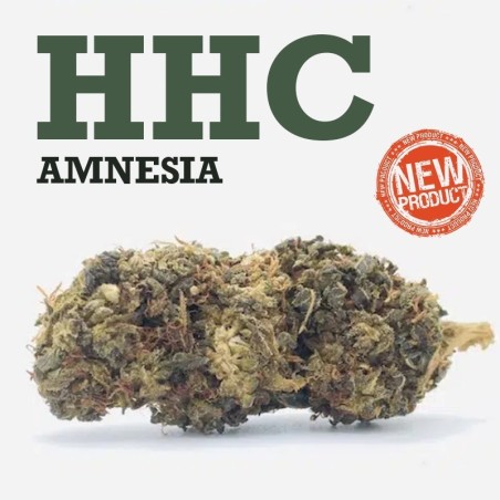 Amnesia HHC "a tu Vera" -CBD store-