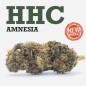 Cogollo de flor aromática HHC - Amnesia - (30 % HHC) Cogollo de flor aromática HHC - Amnesia - (30 % HHC)