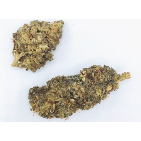 Cogollo de flor aromática HHC - Amnesia - (30 % HHC)
