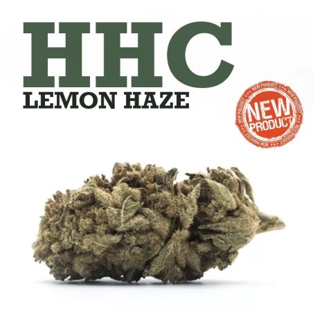 Lemon Haze HHC "a tu Vera" -CBD store-