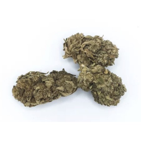 Cogollo de flor aromática 30% HHC - Lemon Haze