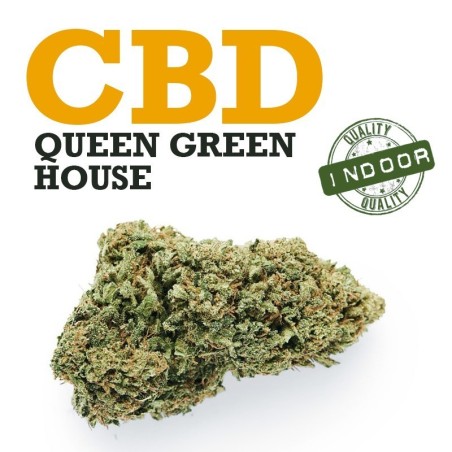 Compra online Cogollo de CBD Queen al mejor precio ✅