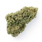 Cogollo de Flor Aromática CBD Queen Green House (15%) Cogollo de Flor Aromática CBD Queen Green House (15%)