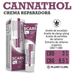 Compra online Cannathol Crema Reparadora Intensa con 3% de CBD ✅