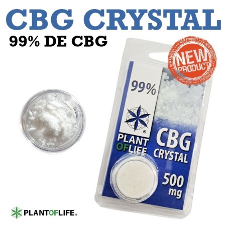 CRISTAL DE CBG
99% DE CBG
500MG
1 UNIDAD