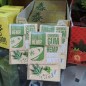 Chicles de Cannabis sabor Menta sin Azúcar 17uds
