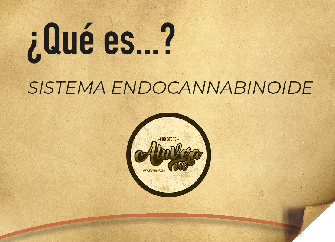 ¿Qué es el Sistema Endocanabinoide?