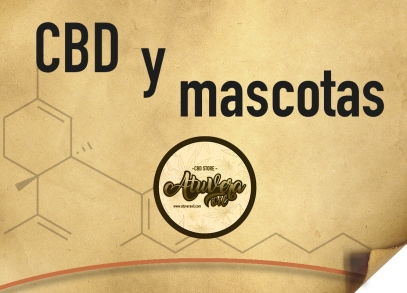 CBD y Mascotas