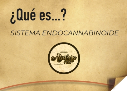 ¿Qué es el Sistema Endocanabinoide?