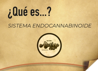 ¿Qué es el Sistema Endocanabinoide?